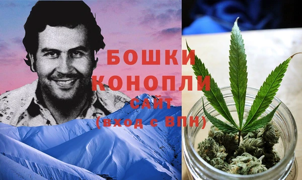 трава Алексин