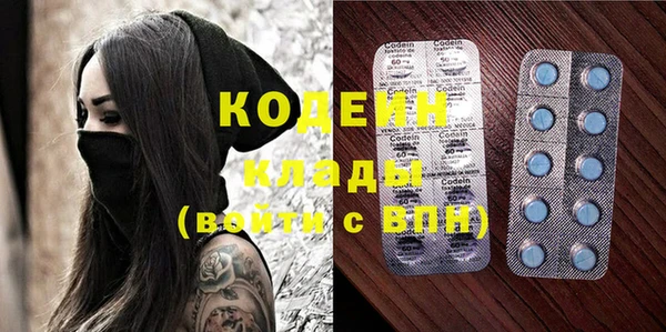 хмурый Алзамай