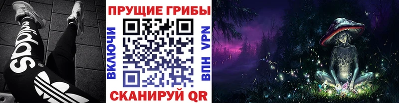 Галлюциногенные грибы ЛСД что такое Порхов