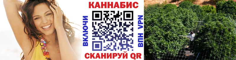 где купить наркотик  MEGA ссылки  сайты даркнета формула  Порхов  Канабис THC 21% 